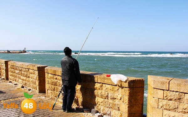 mina2 yaffaj343 (29).jpg